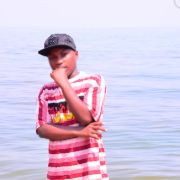 devis